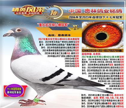 ���游����������蹫��ھ�