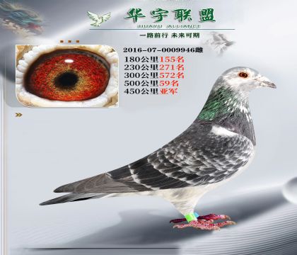 450���� �Ǿ� ������ķ