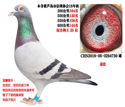 18�������ظ���25λ���Ǳȣ�ʵս����