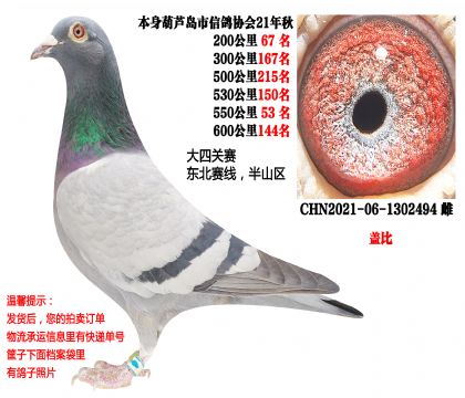 21������Ĺسɼ��루�Ǳȣ�