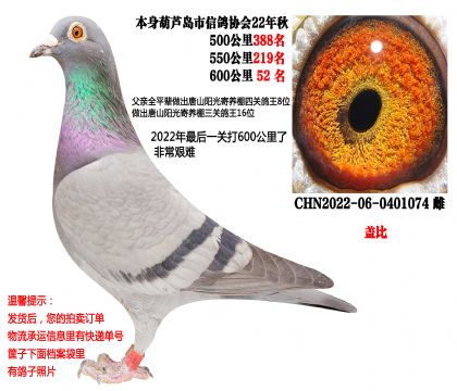 22�������سɼ��룬������һ���600�������£��Ǳȣ�