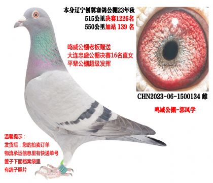 ��«�����������ϰ����ͣ�������������139����