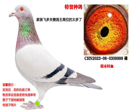 ѹ���ص㣨�����������壩