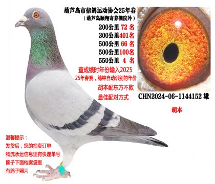 25�괺���500�����λ��550����4������������������