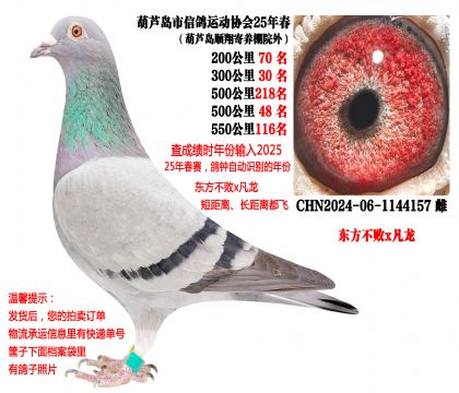 25�괺���500�����λ�ɼ��루��������x������