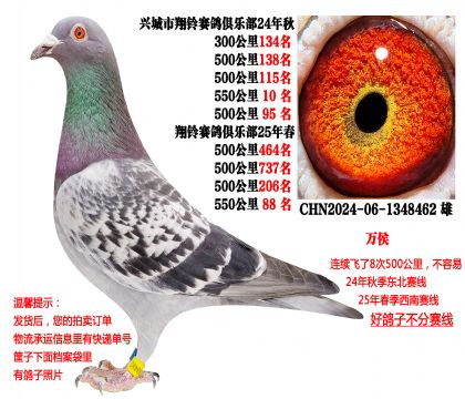 8��500���550����10���ȣ����ø���ɶ���߶���