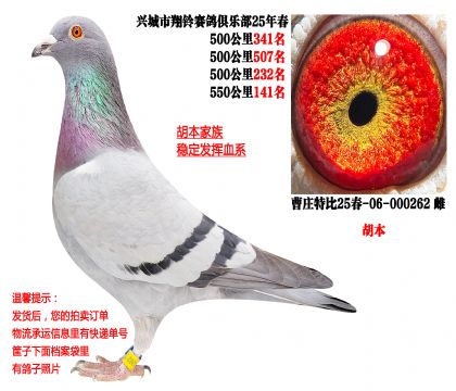 25�괺�Ĺ�500����ɼ��루�������壩