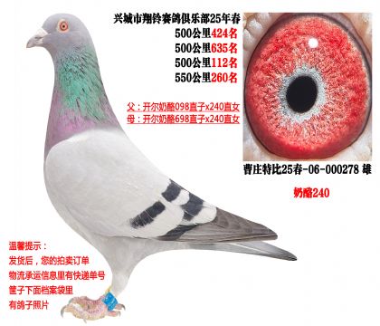 25�괺�Ĺ�500����ɼ��루��������240���ף�