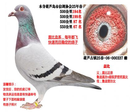 25�괺�Ĺ�500�����λ�ɼ��루�Ǳȣ�