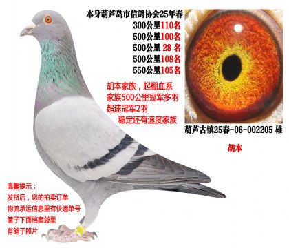 25�괺�Ĺ�500�����λ�ɼ��루��������������