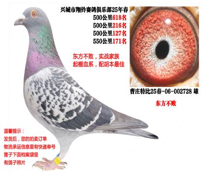 25�괺�Ĺ�500����ɼ��루�������ܣ�