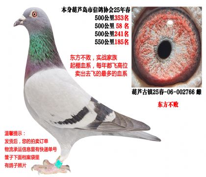 25�괺�Ĺ�500����ɼ��루�������ܣ�