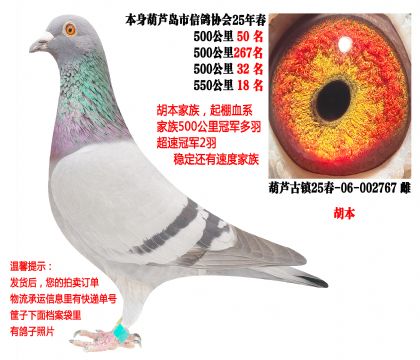 25�괺�Ĺ�500���3��ǰ50������������������