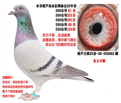 25�괺�Ĺ�500����ɼ��루�������ܣ�