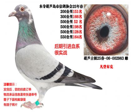 25�괺�Ĺ�500�����λ�ɼ��루���ǲ��ˣ�