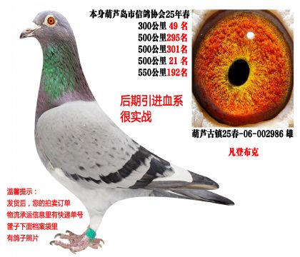 25�괺�Ĺ�500����ɼ��루���ǲ��ˣ�