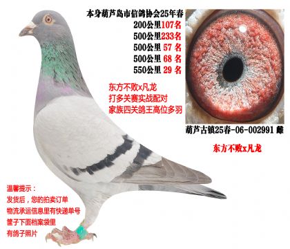 25�괺�Ĺ�500���3��ǰ70������������x������