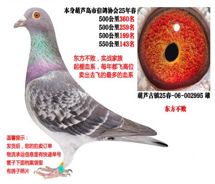 25�괺�Ĺ�500����ɼ��루�������ܣ�