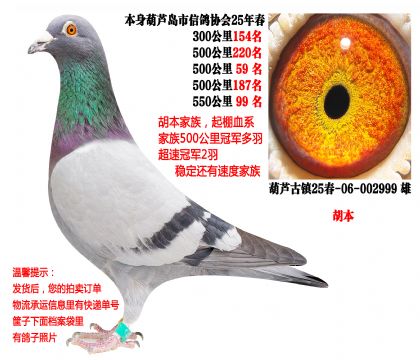 25�괺�Ĺ�500�����λ�ɼ��루��������������