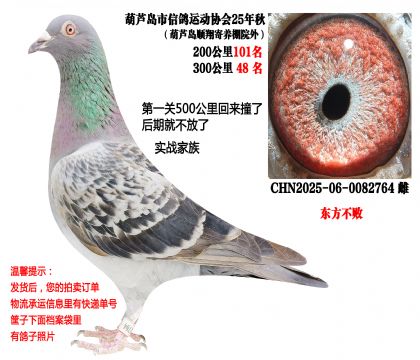 25����300����48�����������ܣ�