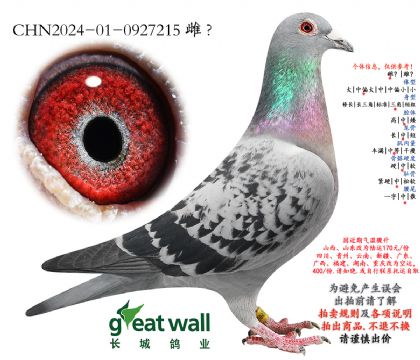 2.����xͼ��˹.0927215