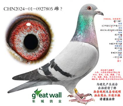 4.С�����Ѫ.0927805