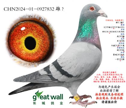 6.����˹x³��.0927832