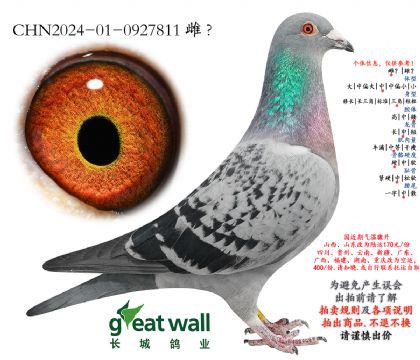 5.������xͼ��˹.0927811