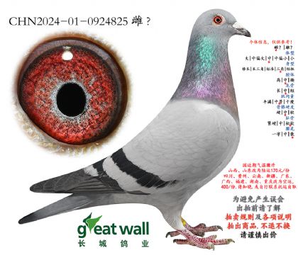 9.����x�¿�����.0924825