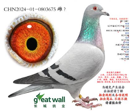 8.С����445���.0803675