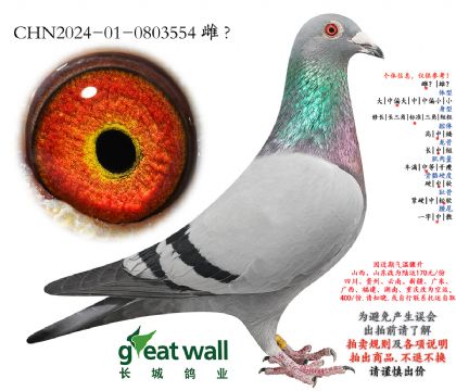 11.����69���Ӵ�.0803554