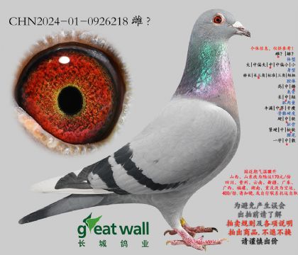 10.������ķ�ȷ����.0926218