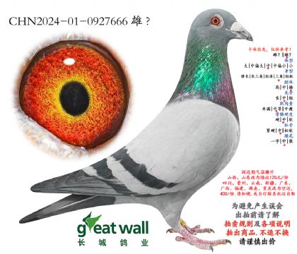 13.�¶�804���.0927666