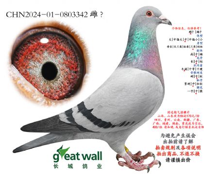 12.��ʱ��911���.0803342