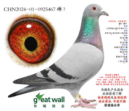 14.������x��ŷ��.0925467