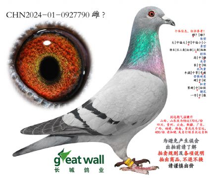 15.����Ѫϵ.0927790