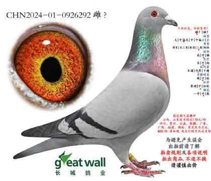 18.�����˹��Ѫ���.0926292