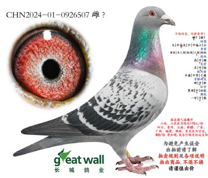 17.��ѩ������.0926507