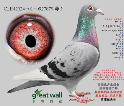 16.�������x������.0927879