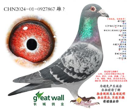 19.������500�������.0927867