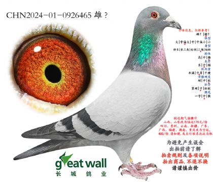 20.���޿������.0926465