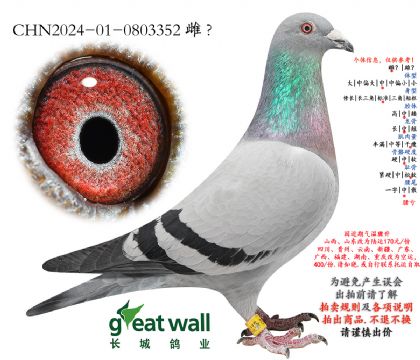 22.������35��Ѫ���.0803352