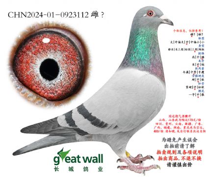 21.̩�������������.0923112