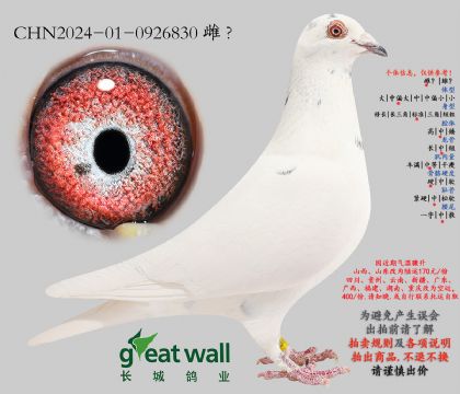 23.�����߸����������.0926830