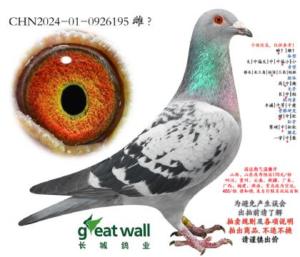 24.ͼ��˹003���.0926195