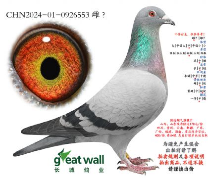 1.����Ժ�ڹھ����.0926553