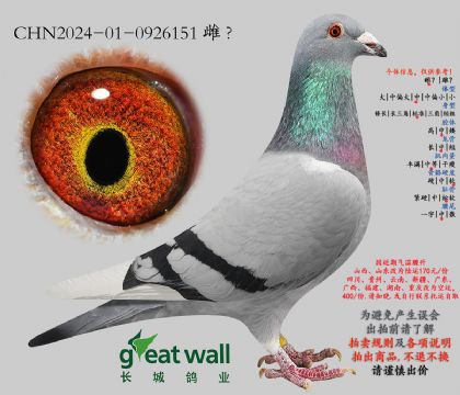 3.��������ŷ���.0926151