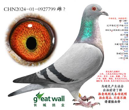 5.�����߸���4�����.0927799