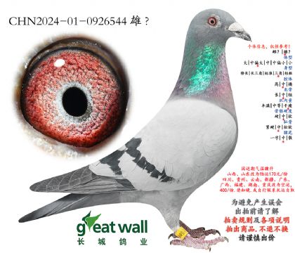 4.������xͼ��˹.0926544