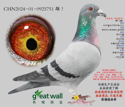 6.���Һ����.0925751